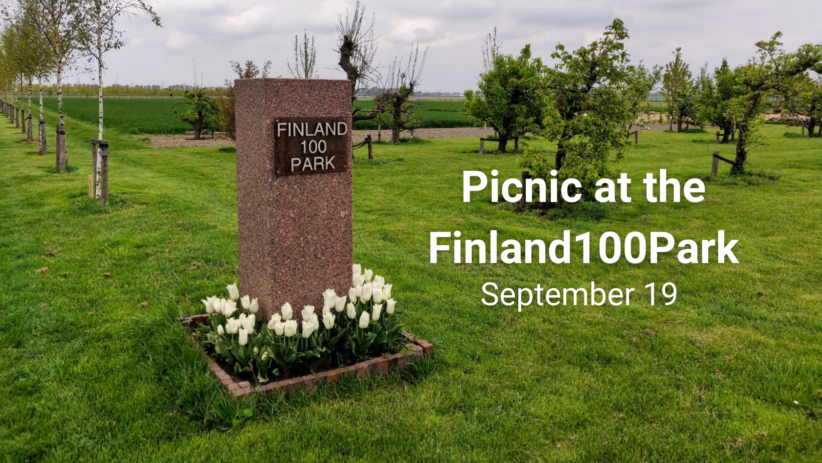 Picnic at the Finland100Park